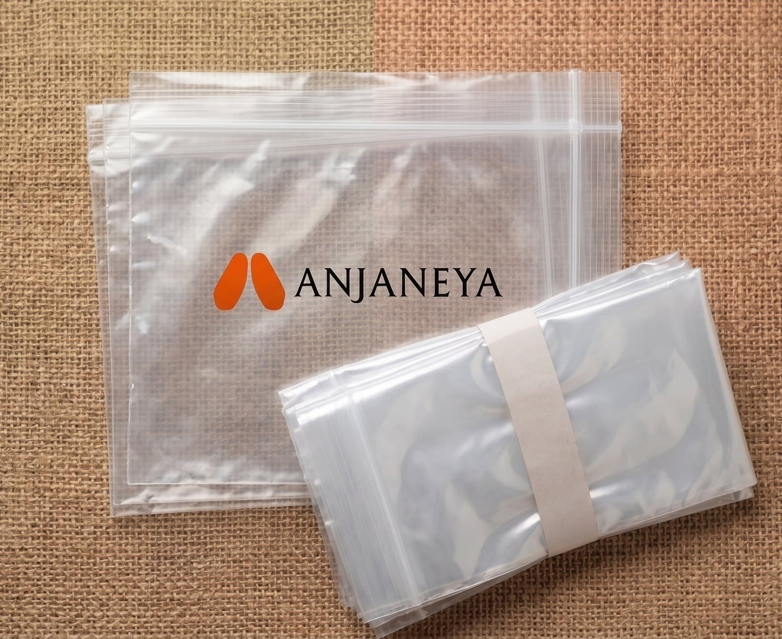 Transparent Bags
